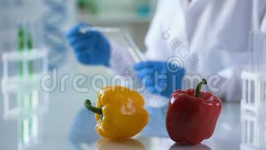 实验室桌上的辣椒蔬菜，中心研究员检查食品安全